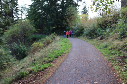 Paved access route to the trail network